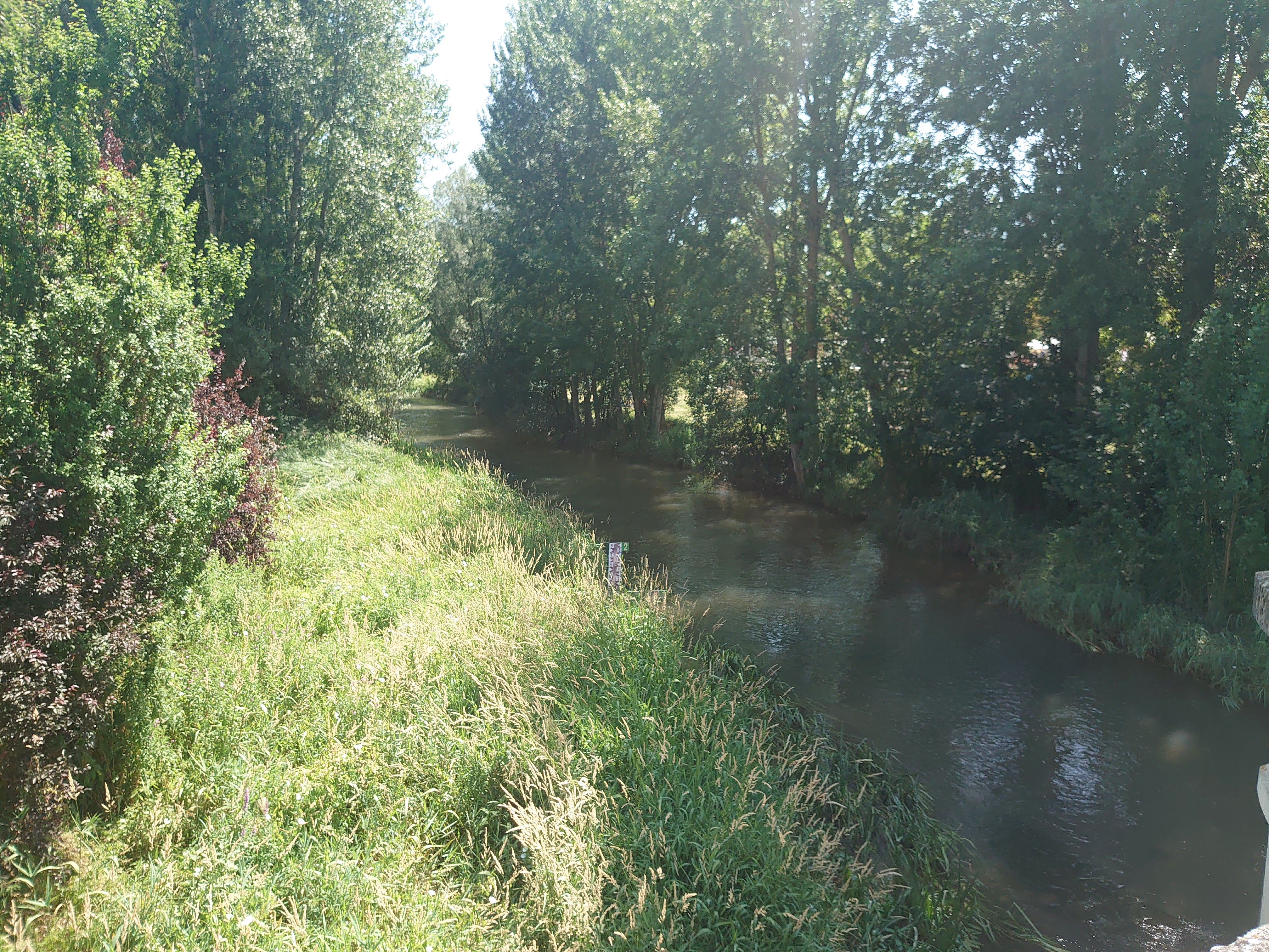 Noch ein Foto vom Landstreifen